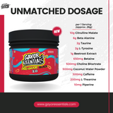 2 x Pre Gayor Black 2.0 + FREE SHAKER