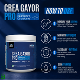 Crea Gayor Pro Powered by Pürest Creatine™ | 99.99% Creatine Monohydrate with 5mg BioPerine® | Third-Party Tested | Ultra-Low DCD, DHT & Creatinine