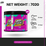 Pump Gayor Black 2.0 (No-caffeine, Optimally dosed with Glycerol Monostearate) Pack of 2 (702g)